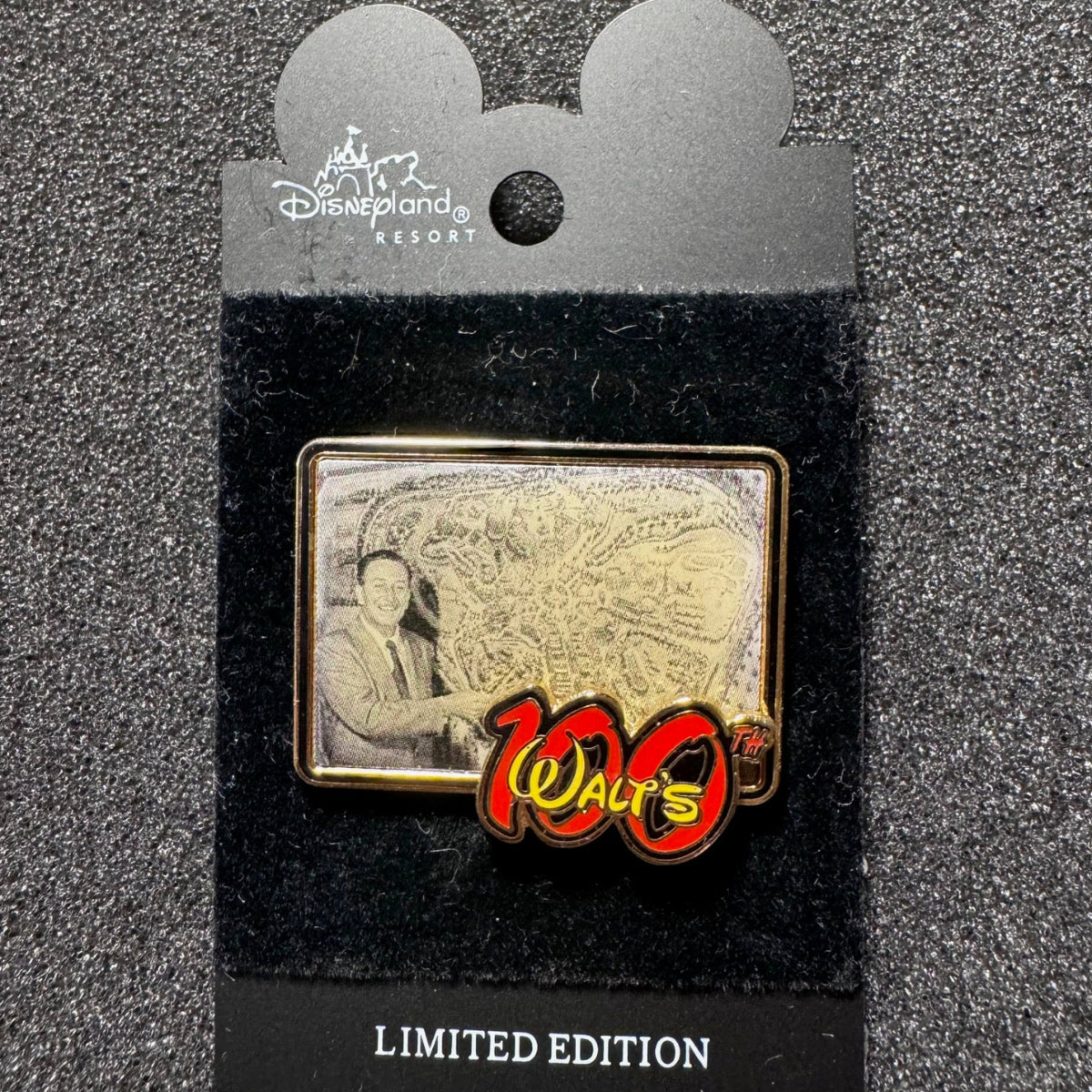 Disneyland Map Walt's 100th Birthday Pin