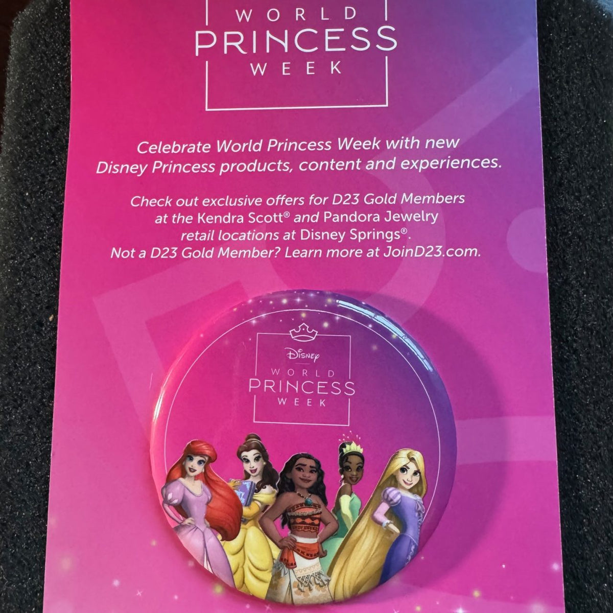 World Princess Week 2025 D23 Button