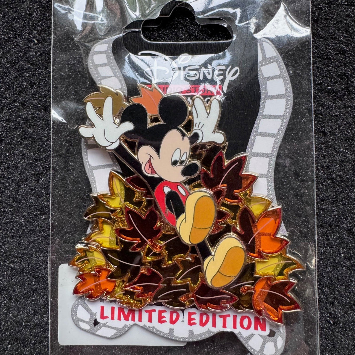 Mickey Mouse Fall Leaves DSSH Pin