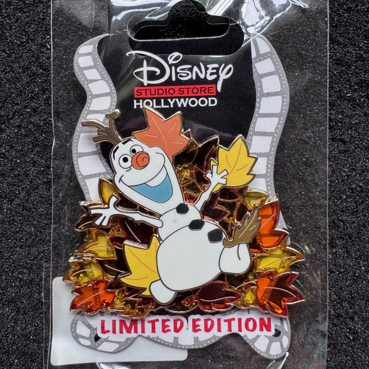 Olaf Fall Leaves DSSH Pin