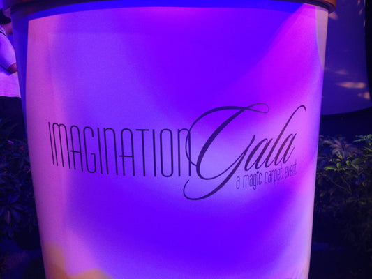 Imagination Gala Pin Event