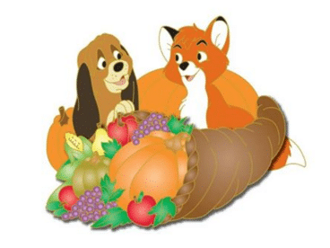 Surprise Fall Pin 2017 - DSSH