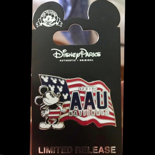 AAU Volleyball 2018 Disney Pin