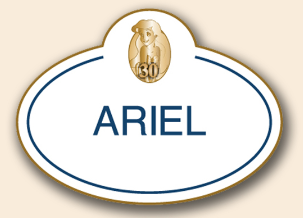 Ariel 30th Anniversary Nametag Pin