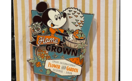 Epcot International Flower & Garden Festival 2020 Disney Pins