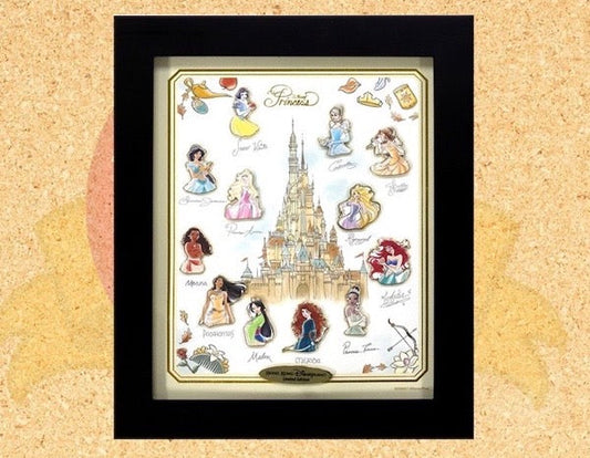 Castle of Magical Dreams Framed Pin Set