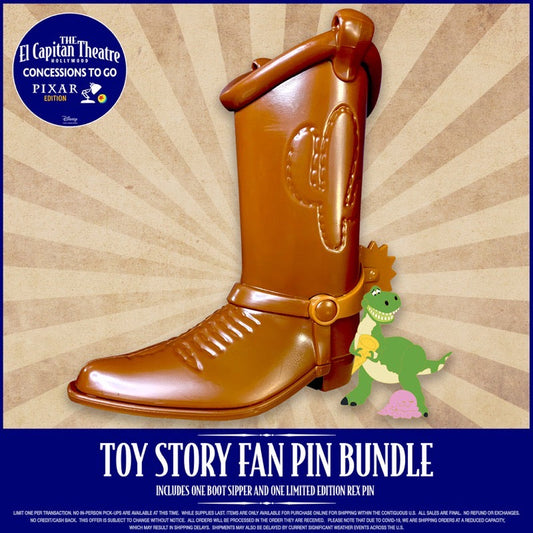 Toy Story Fan Pin Bundle DSSH