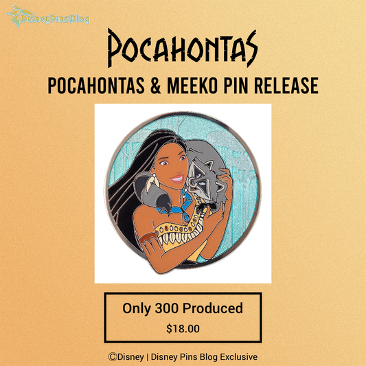 Pocahontas & Meeko Disney Pin at DPB Store