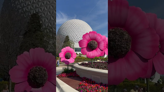 EPCOT Flower & Garden Festival 2024 Disney Pins! #disneyworld #disneypins #epcot