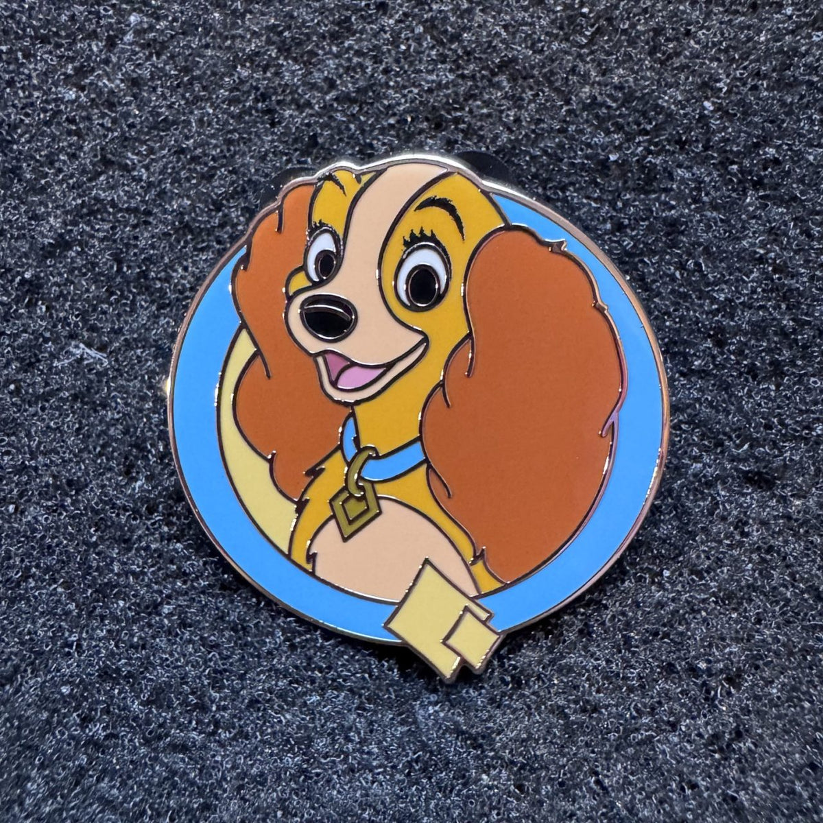 Lady Enchanted Ensemble Pin