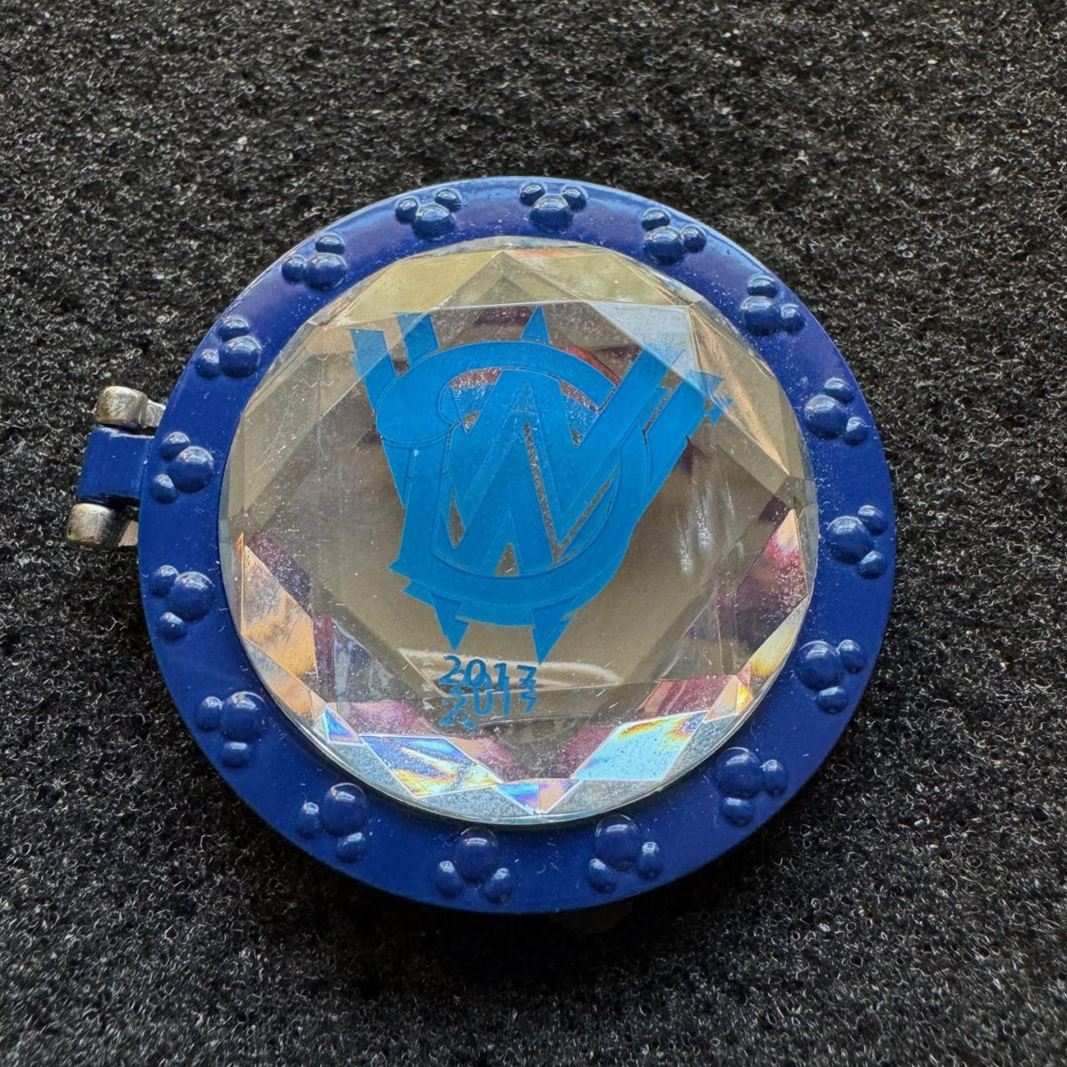 Yeti Animal Kingdom Passholder Hinged Pin