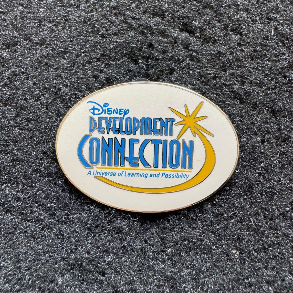 Disney Development Connection Cast Exclusive Pin