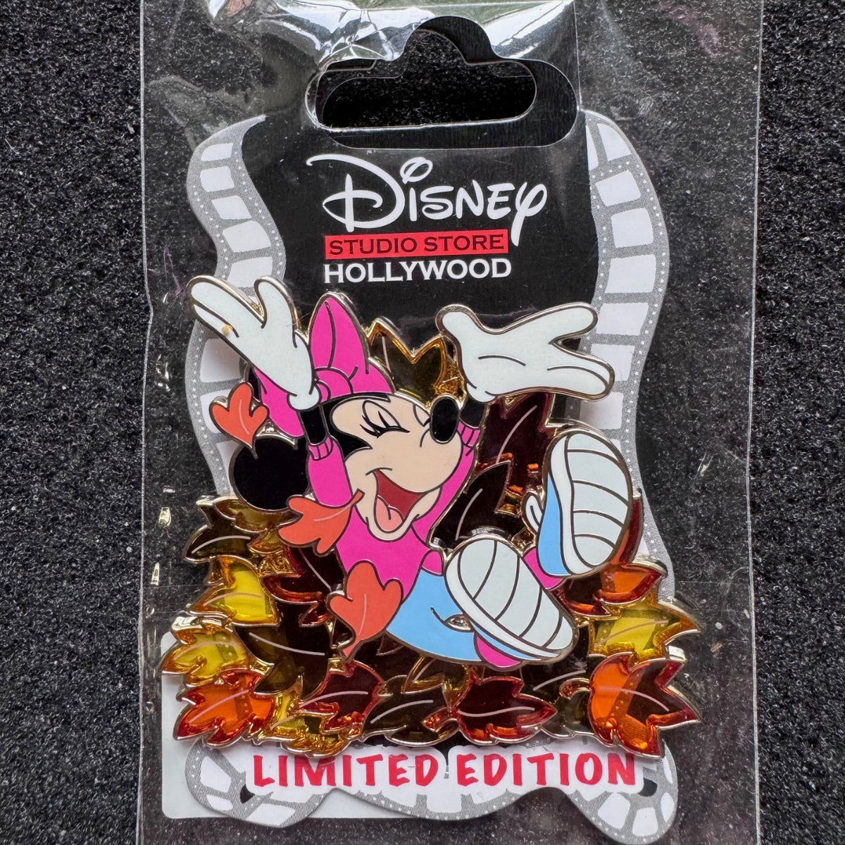 Minnie Mouse Fall Leaves DSSH Pin