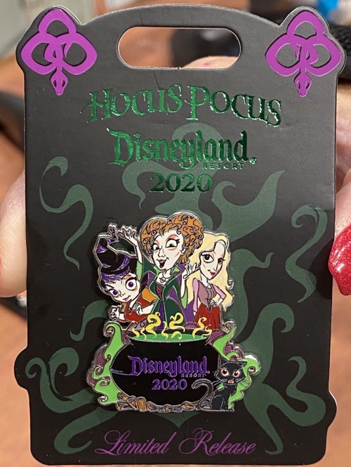 Hocus Pocus 2020 Disneyland Pin