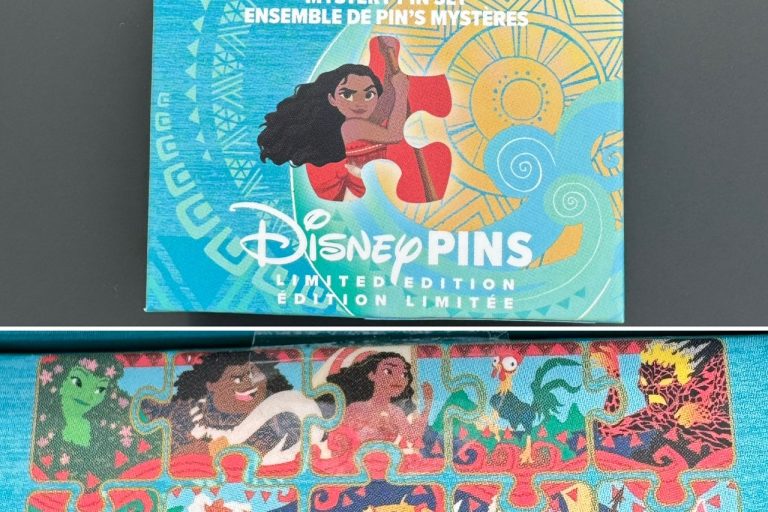 Moana Character Connection Mystery Pin Set